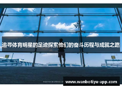 追寻体育明星的足迹探索他们的奋斗历程与成就之路